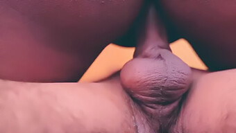 Hardcore Blowjob En 69 Met Een Indiase Desi Met Grote Natuurlijke Tieten