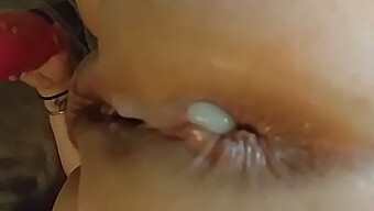 Kompilasi Creampie Anal Amatir