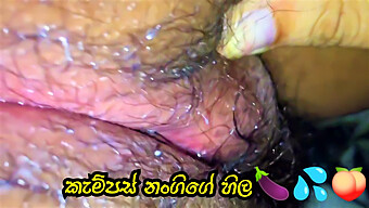 Big Ass Sri Lankan Condom Gets A Close-Up View