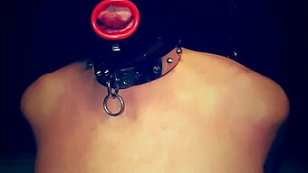 Nyonya Femdom Mendominasi Pelacur Bdsm Dengan Ballbusting Dan Mask Bondage