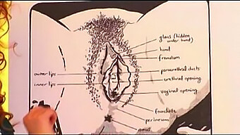 The Practice Of Oral Sex