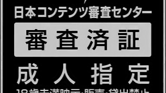 偷偷摸摸的介绍享受这个女佣的淘气行为