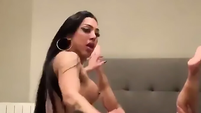 Une Shemale Avec Une Grosse Bite Est Dominée Par Un Transsexuel Dans Cette Vidéo Sauvage